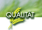 Qualität